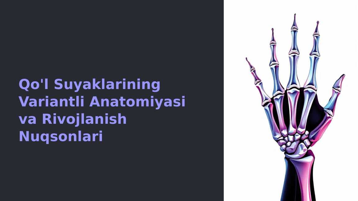 Qo'l Suyaklarining Variantli Anatomiyasi va Rivojlanish Nuqsonlari
