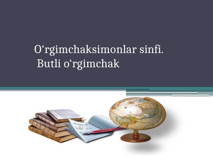O‘rgimchaksimonlar sinfi. Butli o‘rgimchak