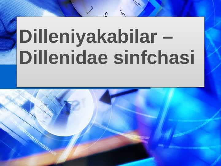Dilleniyakabilar –Dillenidae sinfchasi