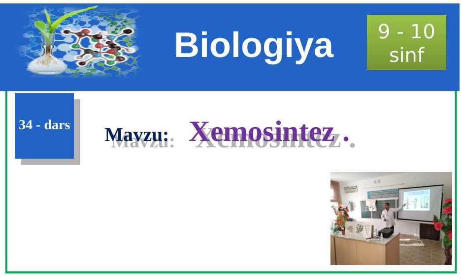 Xemosintez 9-10 sinf