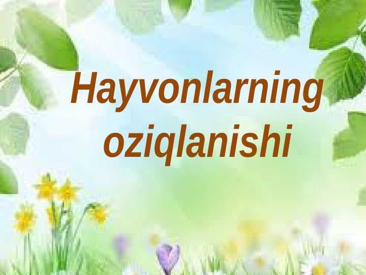 Hayvonlarning oziqlanishi