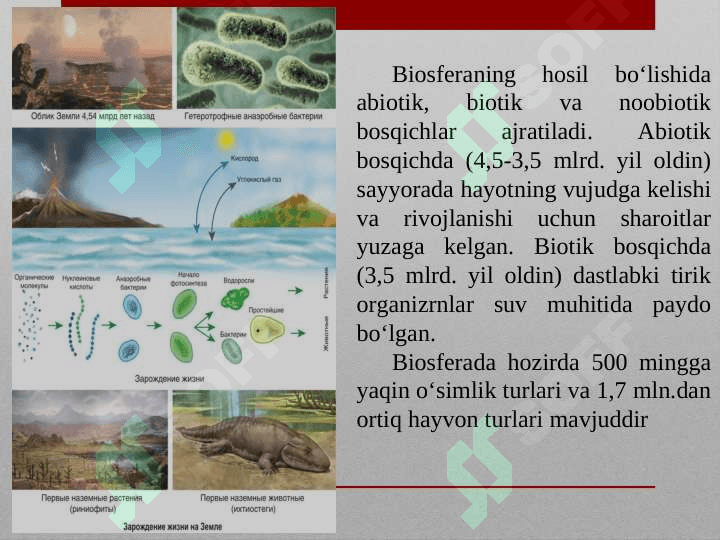 Biosfera haqida tushuncha. Vernadskiy talimoti, noosfera.