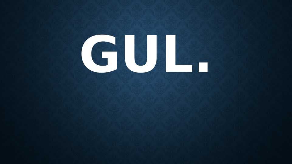 gul slaydg