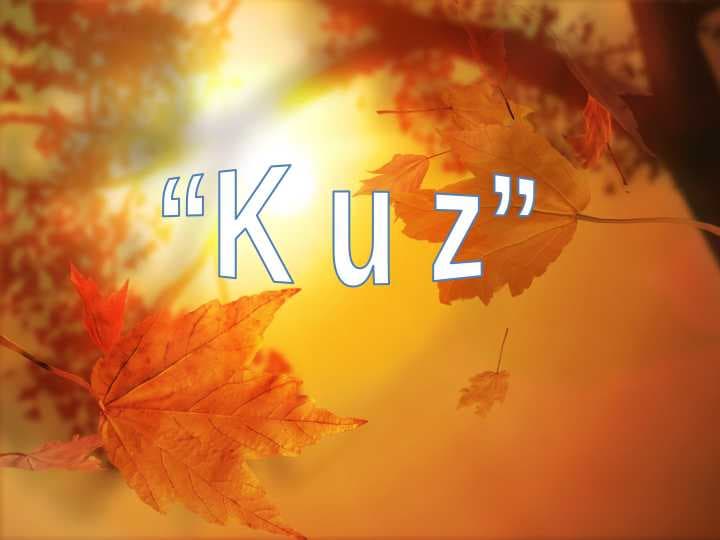K u z