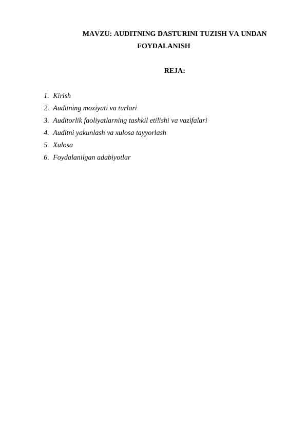 AUDITNING DASTURINI TUZISH VA UNDAN FOYDALANISH