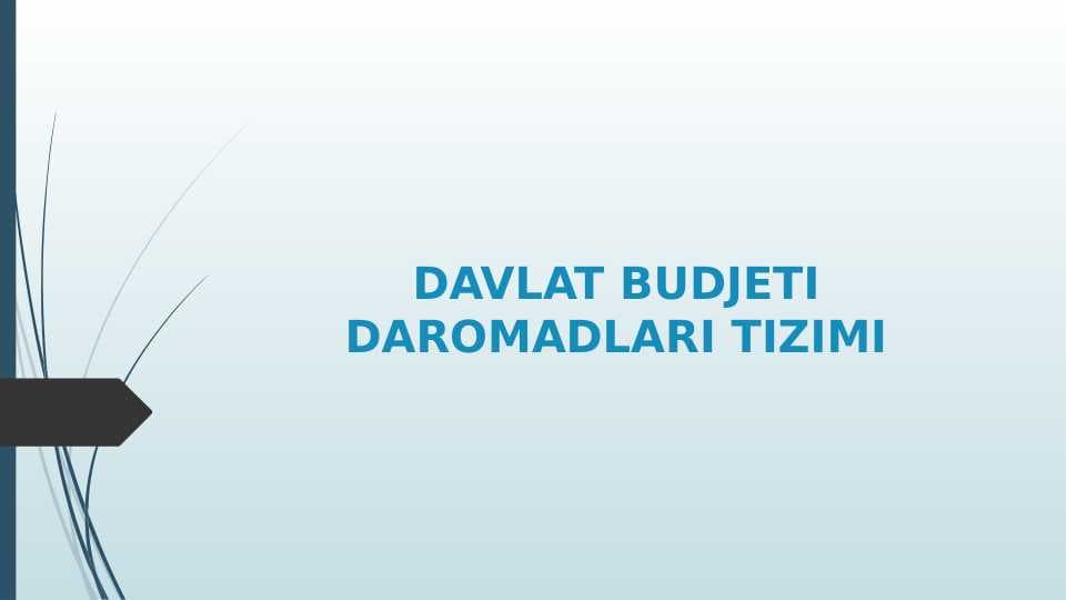 DAVLAT BUDJETI DAROMADLARI TIZIMI