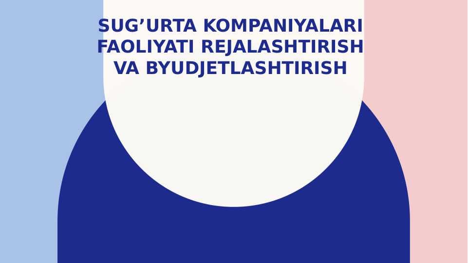 Sug’urta kompaniyalari faoliyati rejalashtirish va byudjetlashtirish