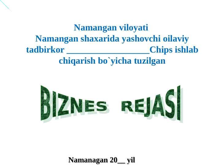 Chips ishlab chiqarish biznes reja