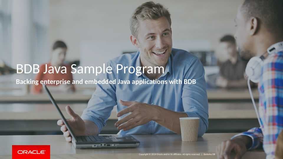 BDB Java Sample Program