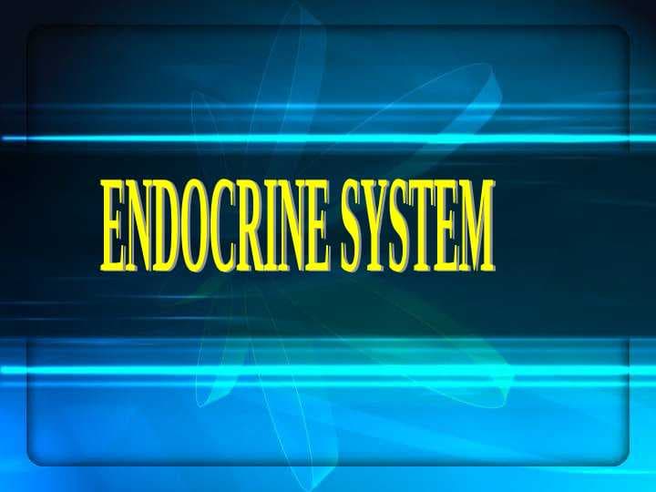 ENDOCRINE SYSTEM
