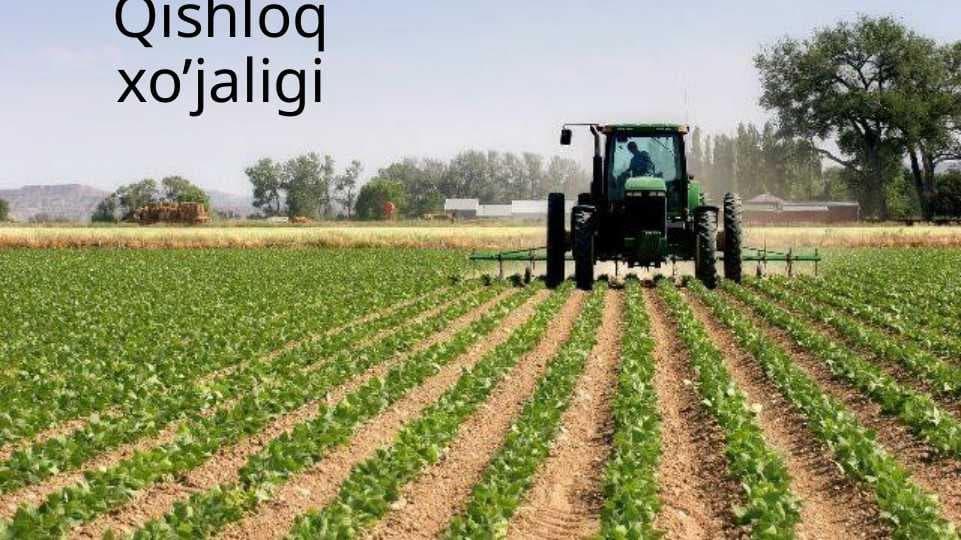 Qishloq xo'jaligi