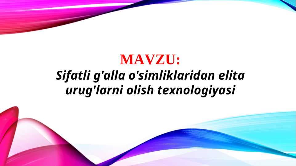 Sifatli g'alla o'simliklaridan elita urug'larni olish texnologiyasi (TAQDIMOT)