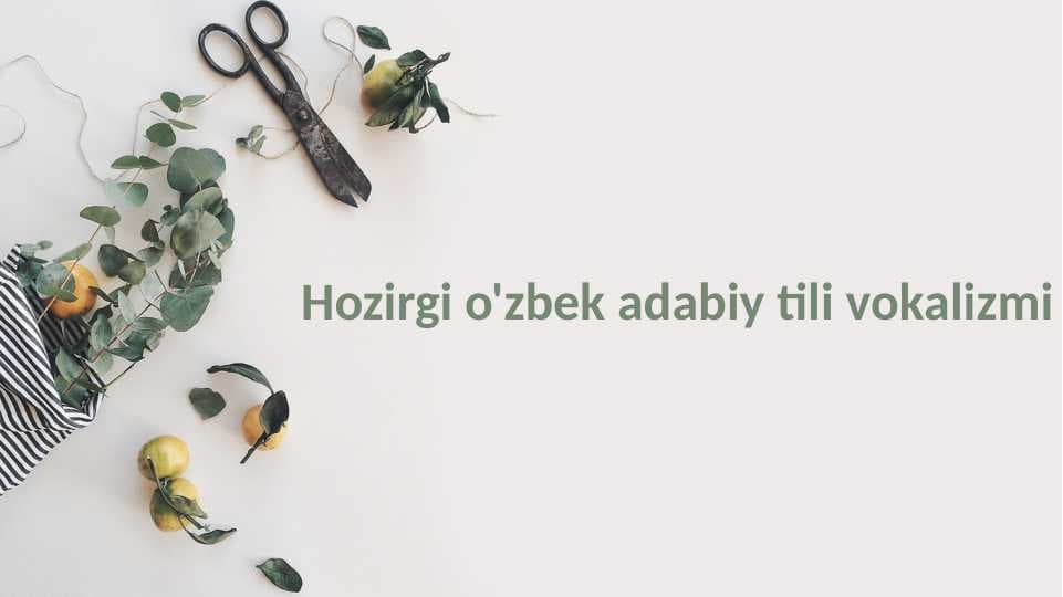 Hozirgi o'zbek adabiy tili vokalizmi