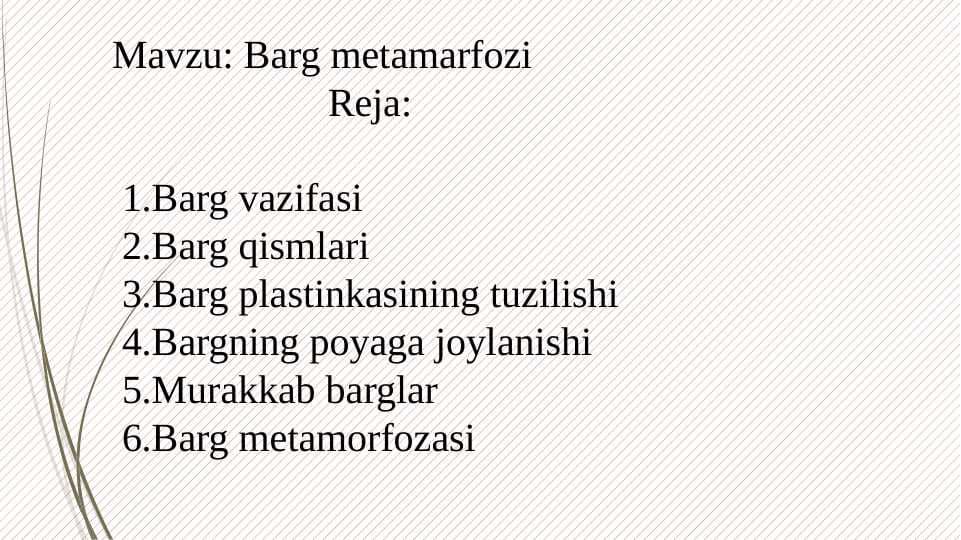 Barg metamarfozi