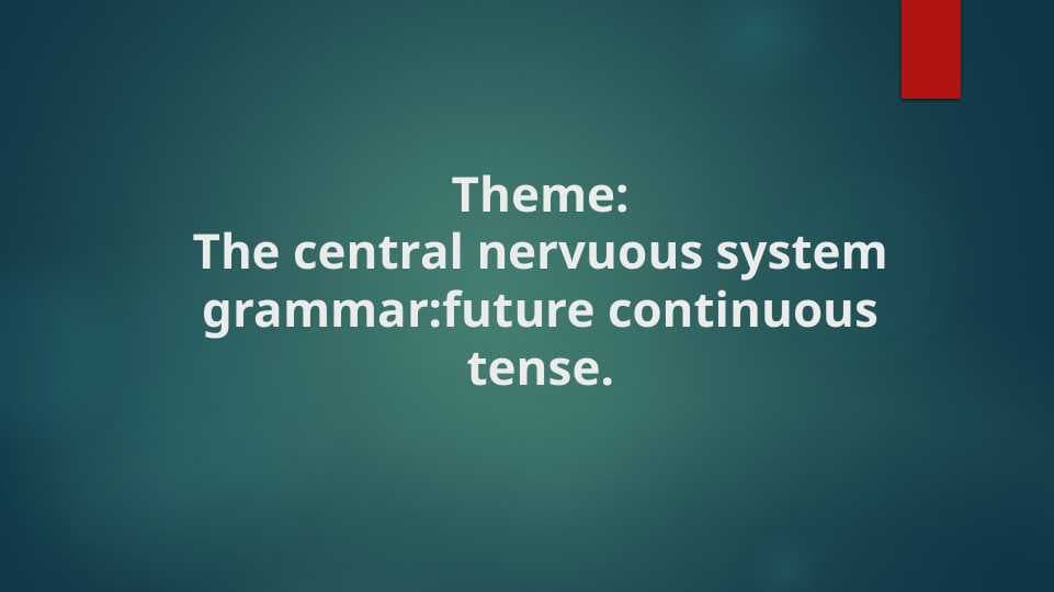 The central nervuous system grammar future continuous tense