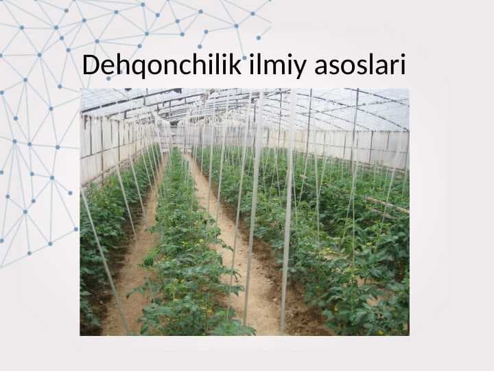 Dehqonchilik ilmiy asoslari