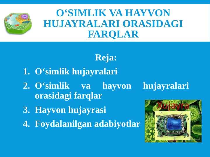 O‘simlik va hayvon hujayralari orasidagi farqlar