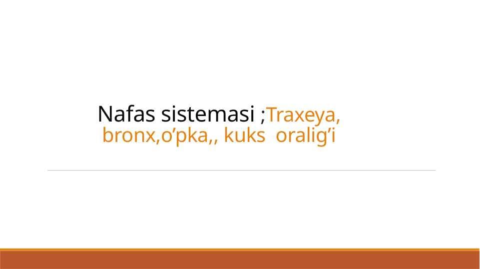Nafas sistemasi
