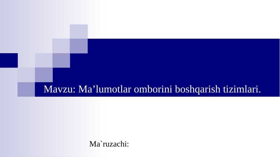 Ma’lumotlar omborini boshqarish tizimlari