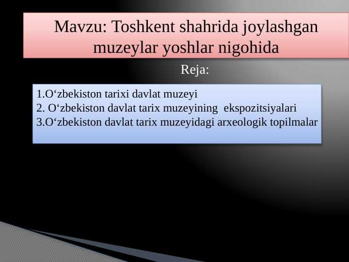 Toshkent shahrida joylashgan muzeylar yoshlar nigohida