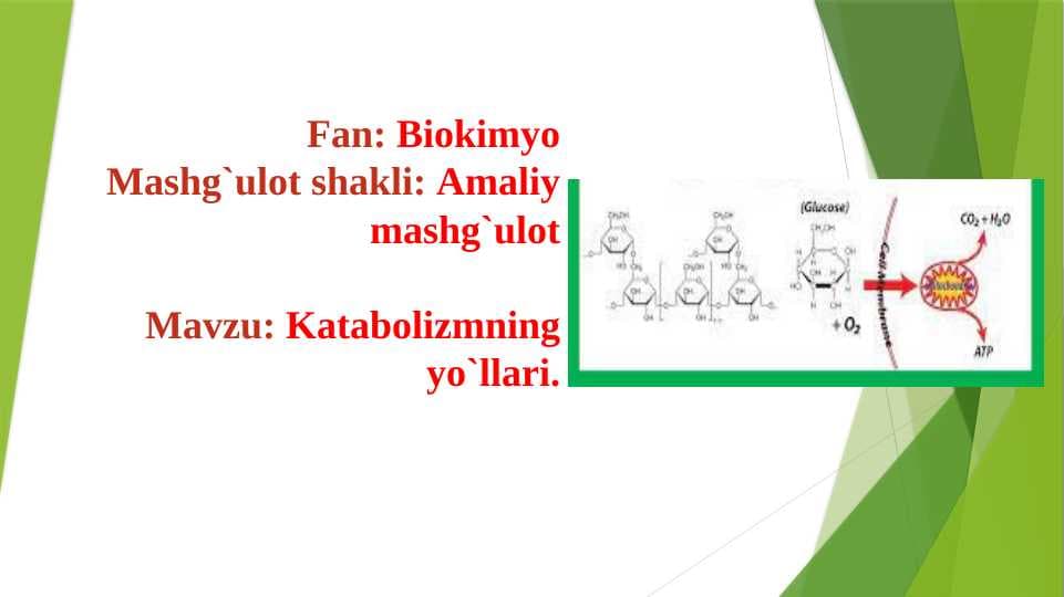 Katabolizmning yo`llari