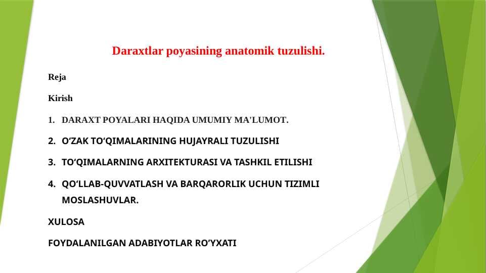 Daraxtlar poyasining anatomik tuzilishi