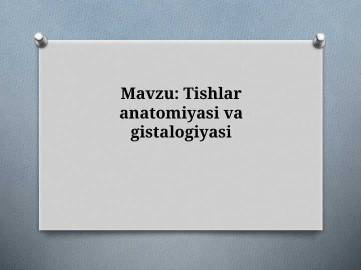 Tishlar anatomiyasi va gistalogiyasi
