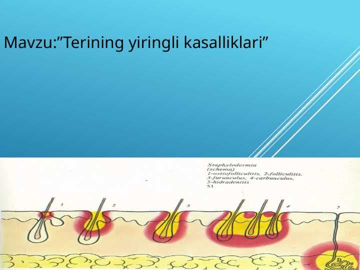 Terining yiringli kasalliklari