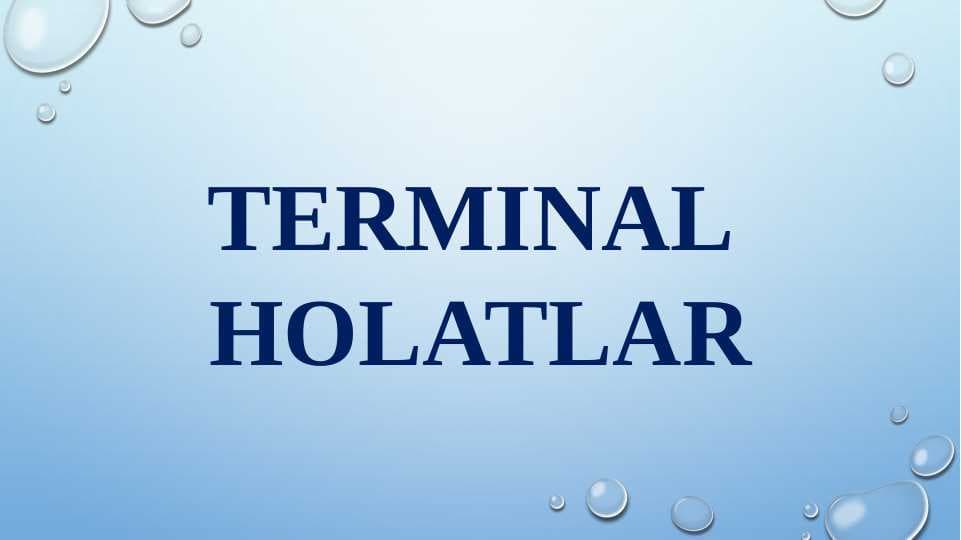 Terminal holatlar 01