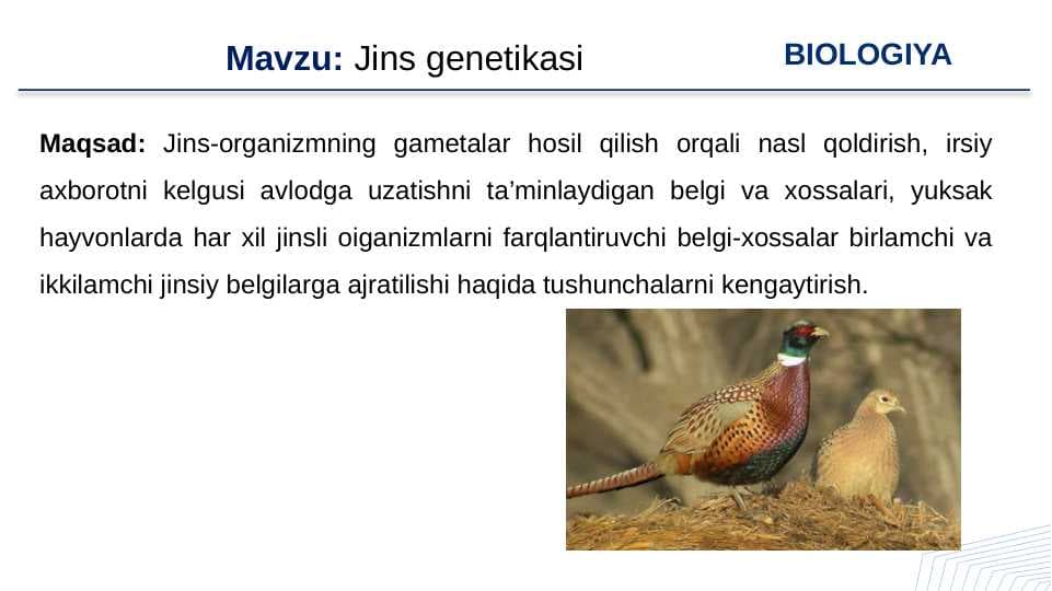 Jins genetikasi. 7-sinf