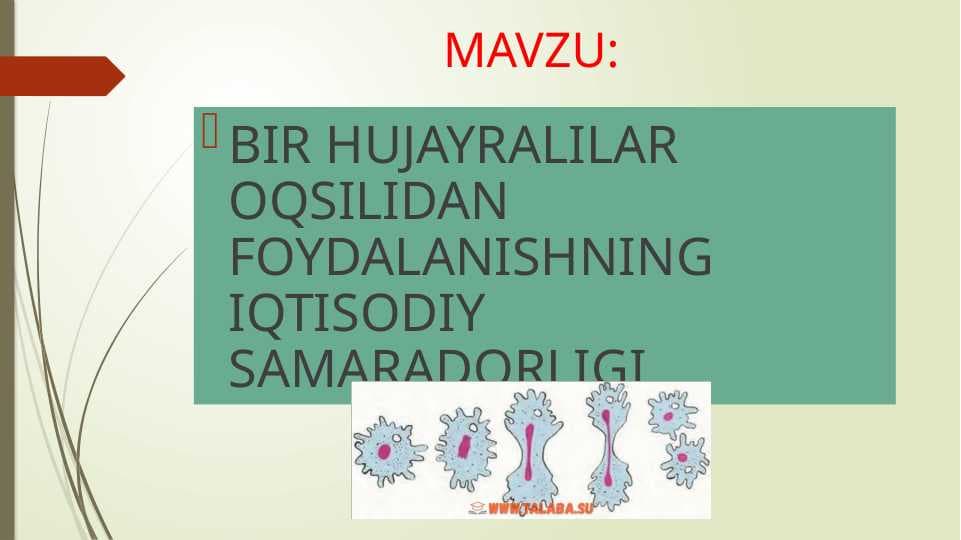 bir hujayralilar oqsilidan foydalanishning iqtisodiy samaradorligi