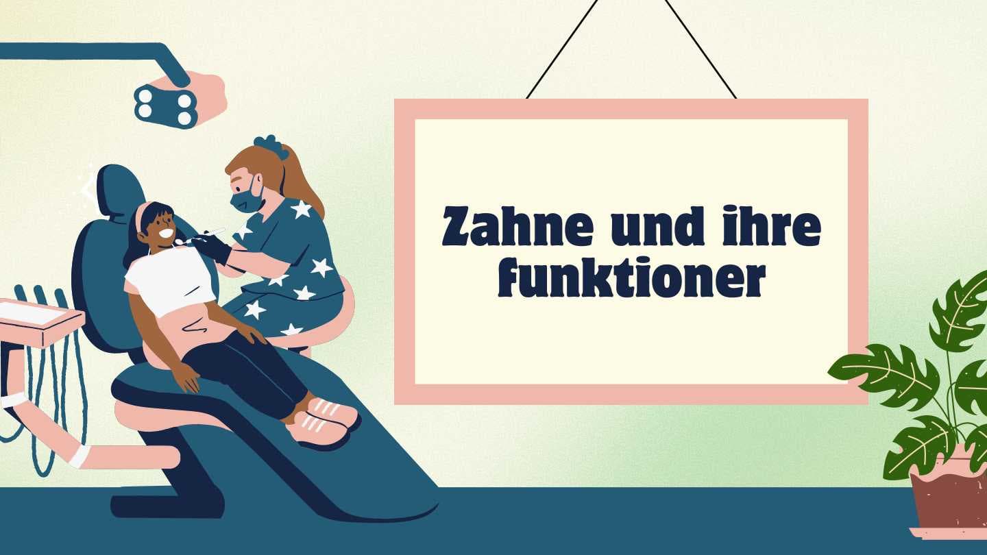 Zahne und ihre funktioner