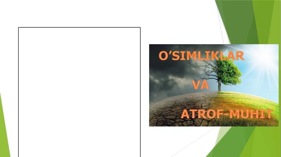 Insonlarning o‘simliklar olamiga ta’siri ppt