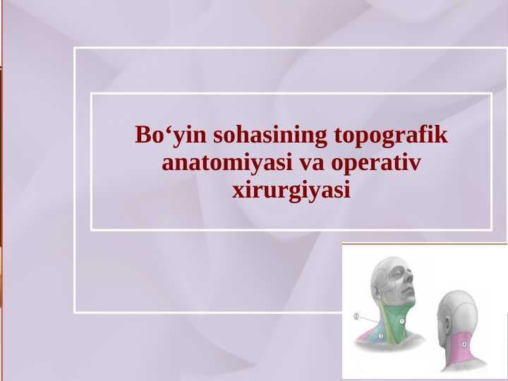 Bo‘yin sohasining topografik anatomiyasi va operativ xirurgiyasi