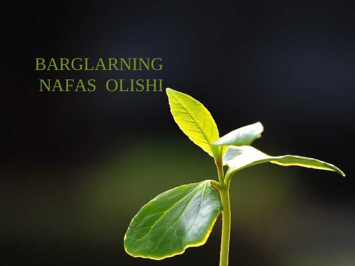BARGLARNING  NAFAS  OLISHI