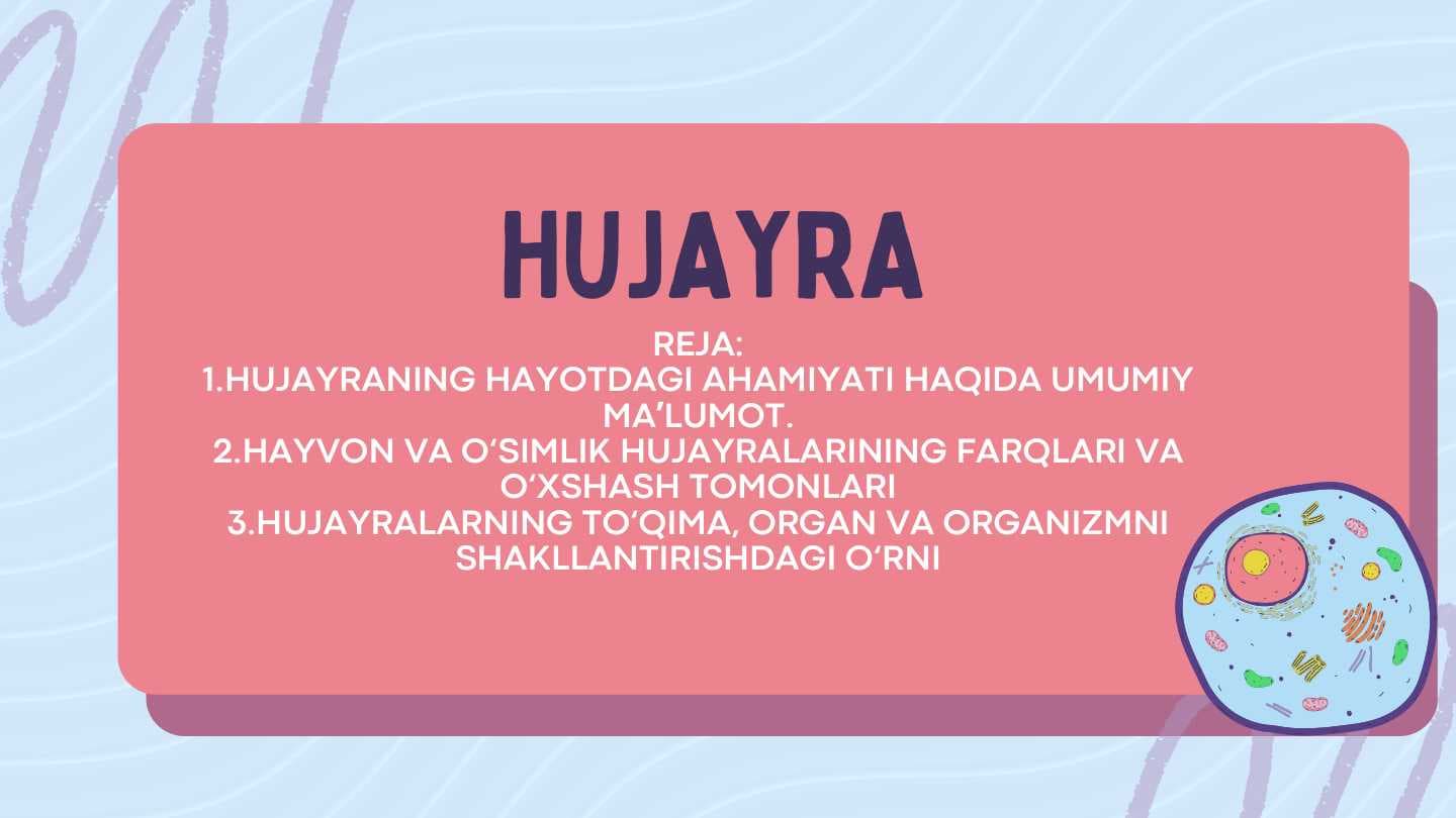 Hujayra
