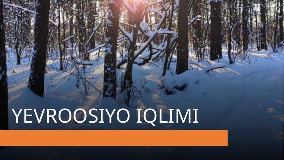Yevrosiyo iqlimi