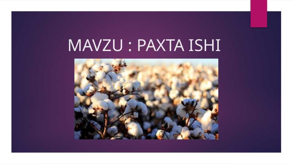PAXTA ISHI