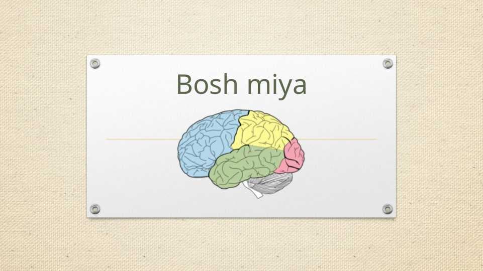 Bosh miya
