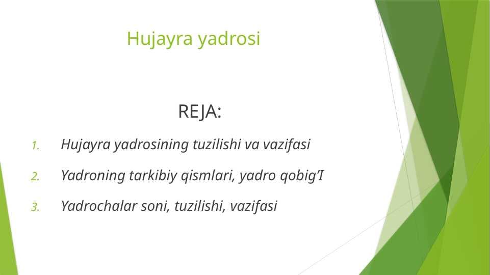 Hujayra yadrosi