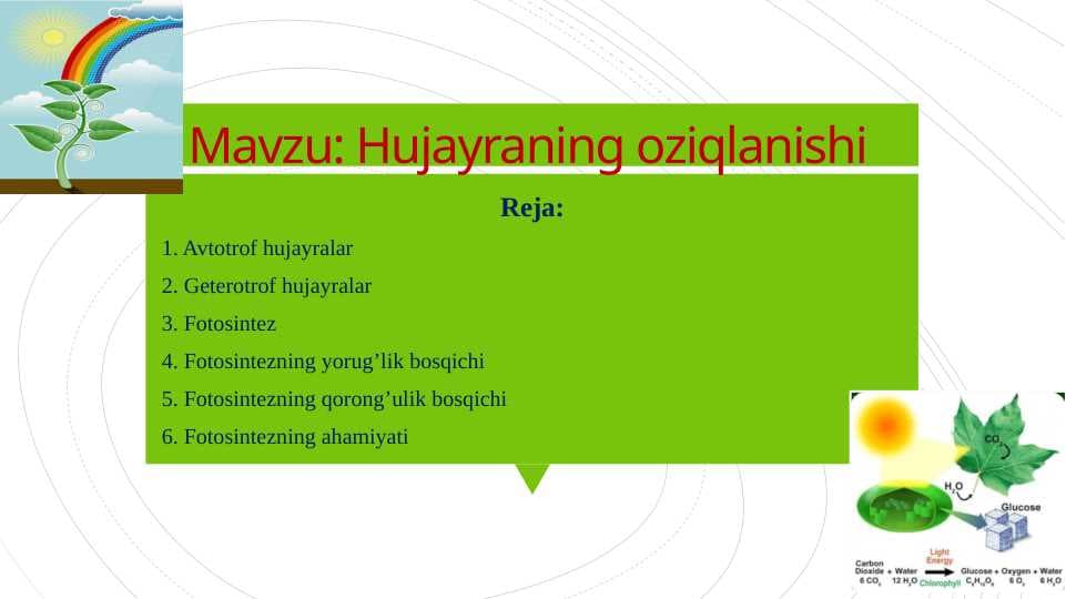 Hujayraning oziqlanish