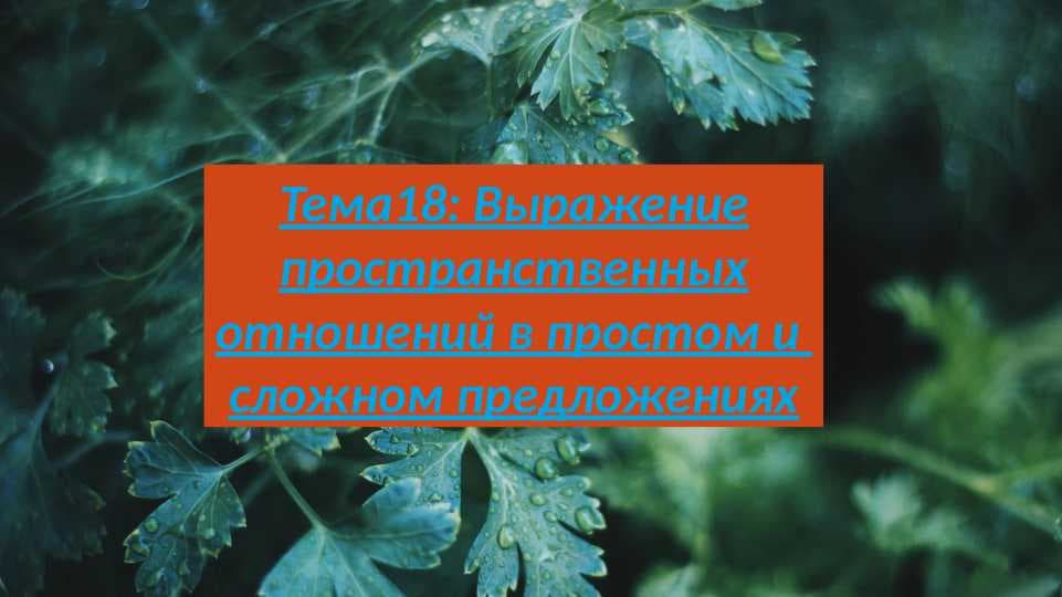 Выражение пространственных отношений в простом и  сложном предложениях