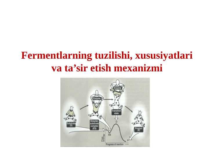 Fermentlarning tuzilishi, xususiyatlari va ta’sir etish mexanizmi