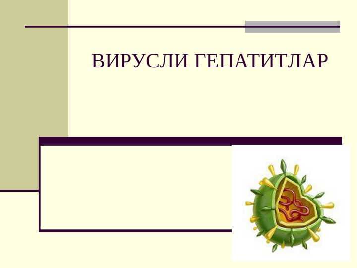 ВИРУСЛИ ГЕПАТИТЛАР