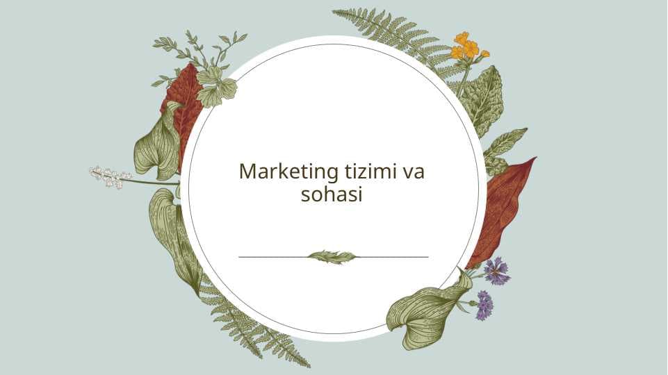 Marketing tizimi va sohasi
