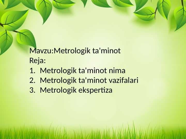 Metrologik ta'minot