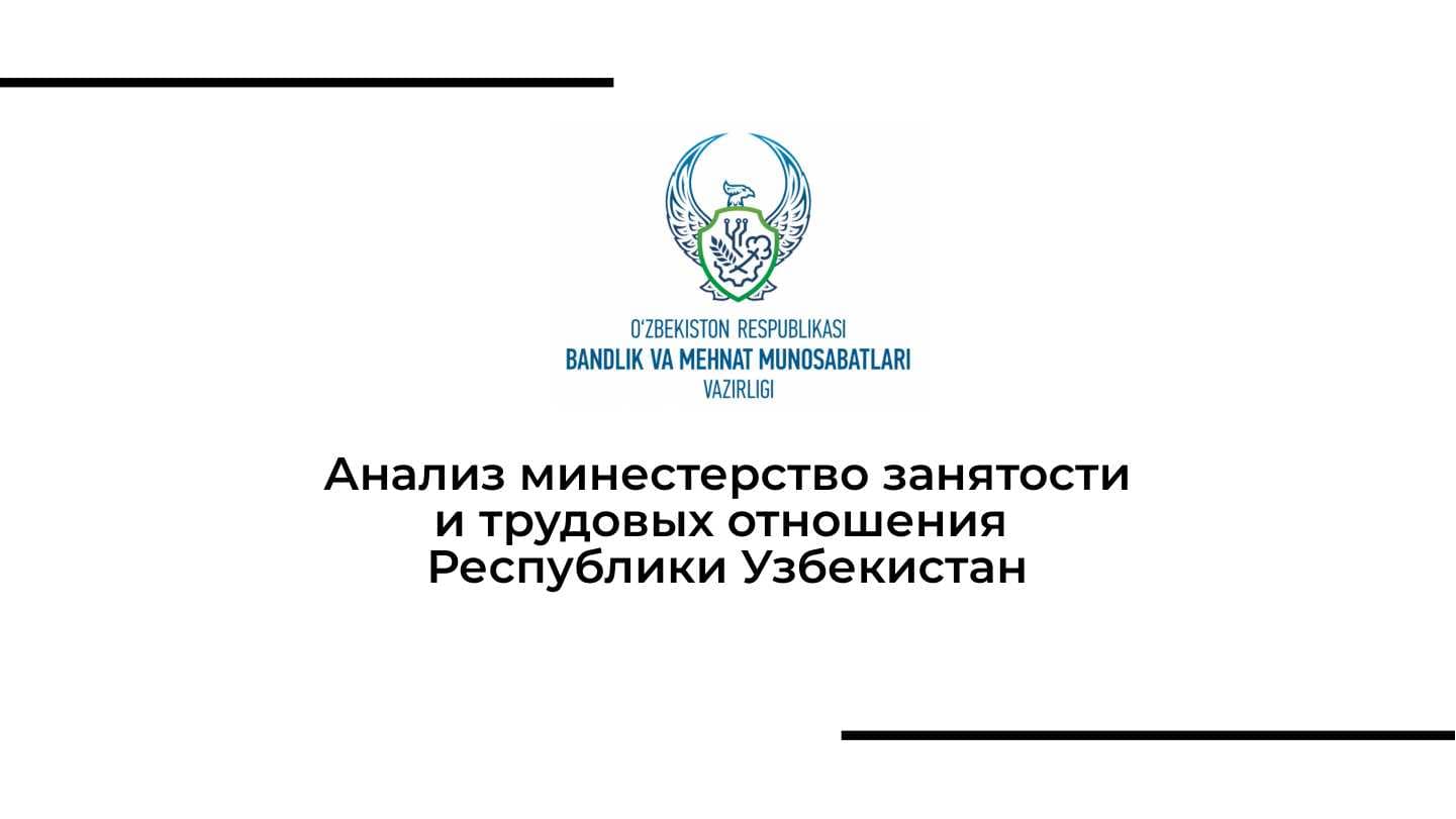 Анализ минестерство занятости и трудовых отношения  Республики Узбекистан