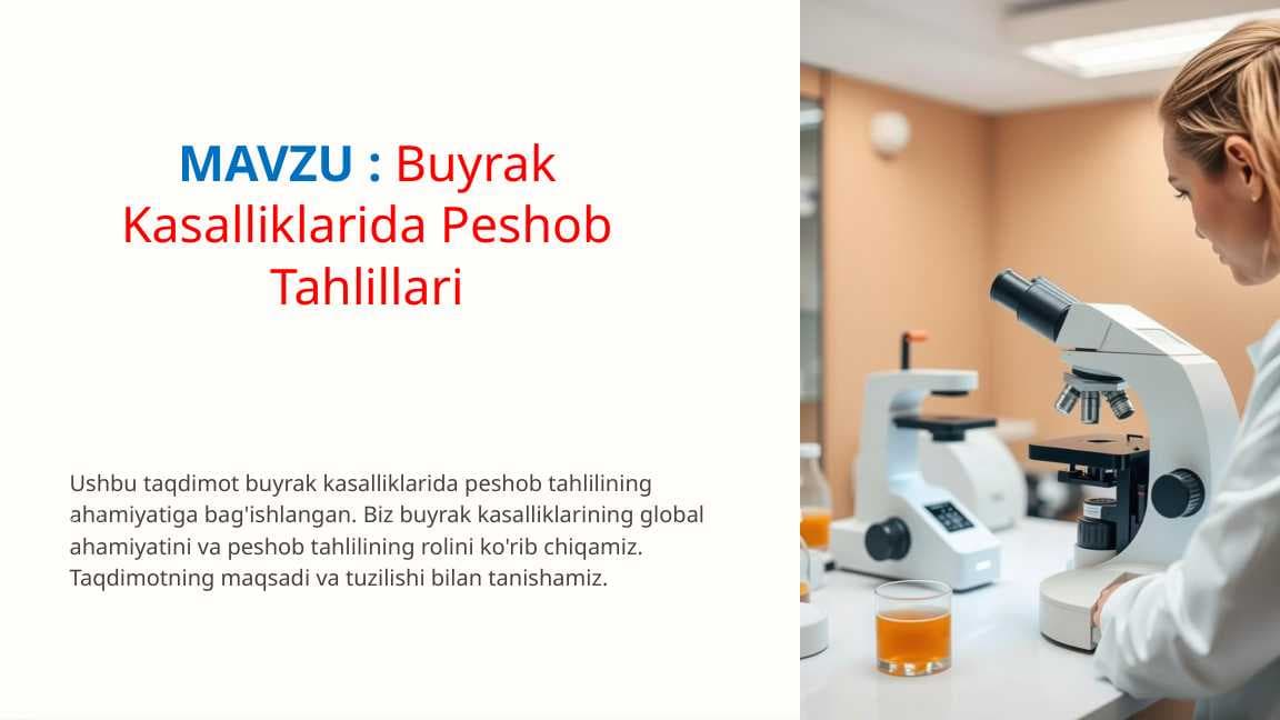 Buyrak Kasalliklarida Peshob Tahlillari