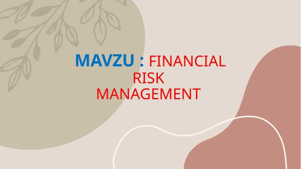 FINANCIAL RISK MANAGEMENT