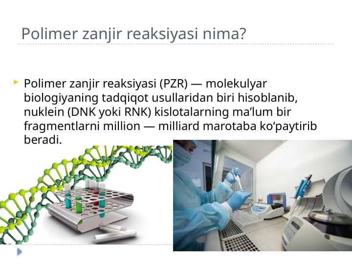 Polimer zanjir reaksiyasi